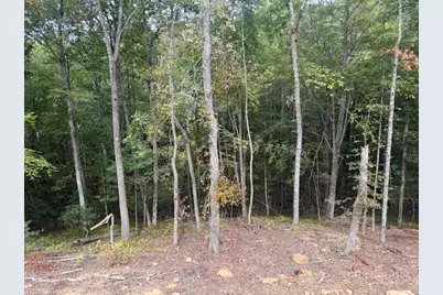 23 Peck Peak Road, Jefferson, NC 28640 - Photo 16