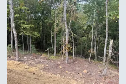 23 Peck Peak Road, Jefferson, NC 28640 - Photo 20