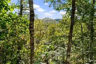 1443 Sugar Mountain Dr, Sugar Mountain, NC 28604 - Photo 28
