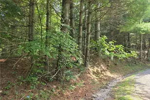 Lot 78 Green Meadows, Todd, NC 28684 - Photo 1