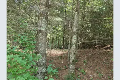 Lot 78 Green Meadows, Todd, NC 28684 - Photo 2