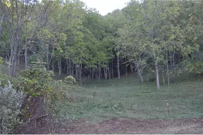1180 Ball Hollow Road, Lansing, NC 28631 - Photo 30