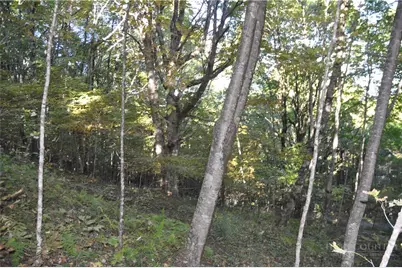 Tbd E. Whenlin Ridge Road, Lansing, NC 28643 - Photo 2
