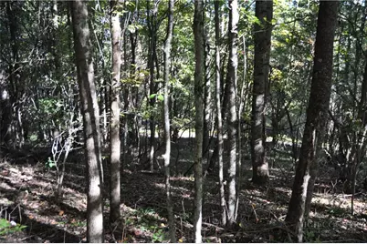 Tbd E. Whenlin Ridge Road, Lansing, NC 28643 - Photo 24
