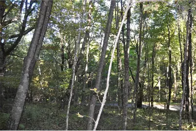 Tbd E. Whenlin Ridge Road, Lansing, NC 28643 - Photo 16