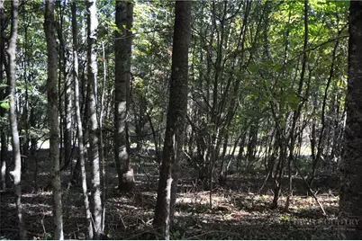 Tbd E. Whenlin Ridge Road, Lansing, NC 28643 - Photo 26