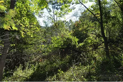 Tbd E. Whenlin Ridge Road, Lansing, NC 28643 - Photo 18