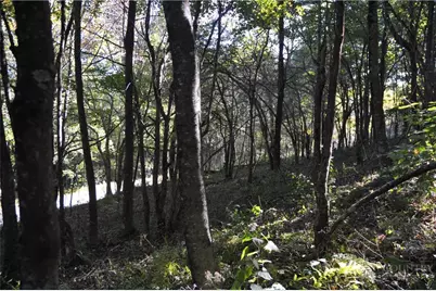 Tbd E. Whenlin Ridge Road, Lansing, NC 28643 - Photo 10