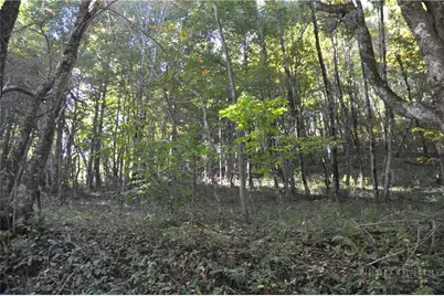 Tbd E. Whenlin Ridge Road, Lansing, NC 28643 - Photo 6