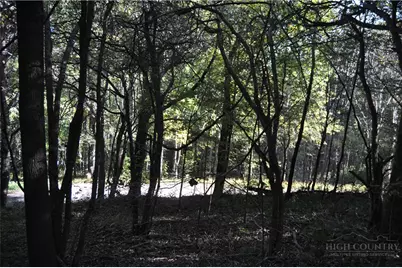 Tbd E. Whenlin Ridge Road, Lansing, NC 28643 - Photo 28