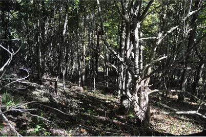 Tbd E. Whenlin Ridge Road, Lansing, NC 28643 - Photo 20