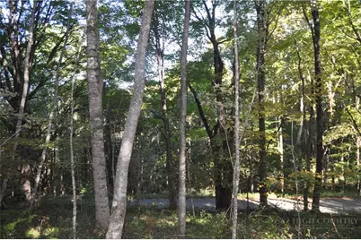 Tbd E. Whenlin Ridge Road, Lansing, NC 28643 - Photo 8