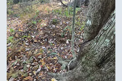 Lot 24 Larkspur Trail, Banner Elk, NC 28604 - Photo 10