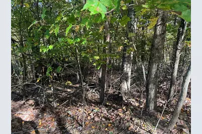 Lot 24 Larkspur Trail, Banner Elk, NC 28604 - Photo 1
