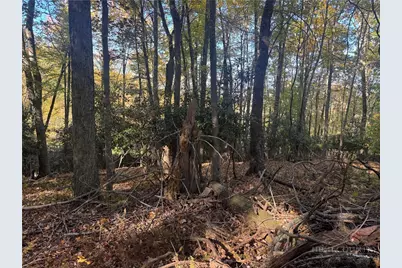 Lot 24 Larkspur Trail, Banner Elk, NC 28604 - Photo 14