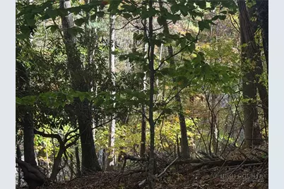 Lot 24 Larkspur Trail, Banner Elk, NC 28604 - Photo 6
