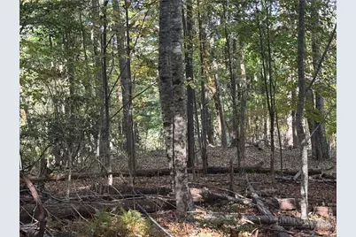 Lot 24 Larkspur Trail, Banner Elk, NC 28604 - Photo 8