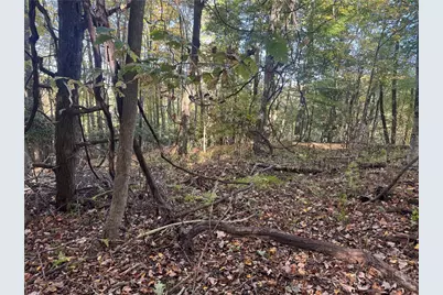 Lot 24 Larkspur Trail, Banner Elk, NC 28604 - Photo 12