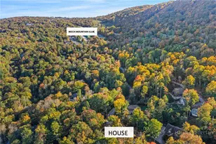 109 Foxgrape Hollow Rd, Beech Mountain, NC 28604 - Photo 6