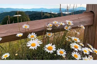 Lot 8 Pebble Creek Trail, Beech Mountain, NC 28604 - Photo 24