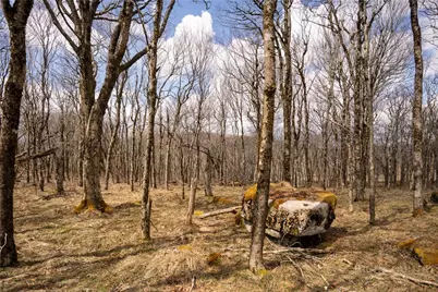 Tbd (C3) Oz Circle Extension, Beech Mountain, NC 28604 - Photo 10