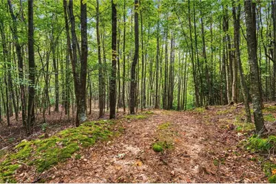 0000 Chesnut Grove Road, Millers Creek, NC 28651 - Photo 48