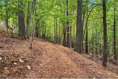 0000 Chesnut Grove Road, Millers Creek, NC 28651 - Photo 46