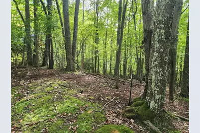 103 Spicewood Lane, Beech Mountain, NC 28604 - Photo 4