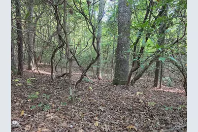 Tbd Off Windy Acres Ridge Road, Fleetwood, NC 28626 - Photo 6