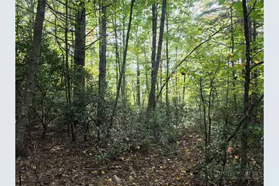 Tbd Off Windy Acres Ridge Road, Fleetwood, NC 28626 - Photo 10