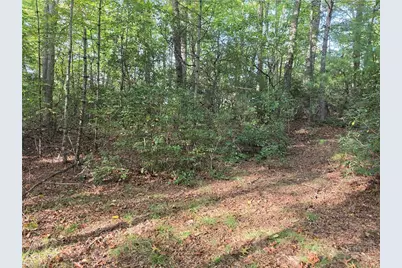 Tbd Off Windy Acres Ridge Road, Fleetwood, NC 28626 - Photo 4