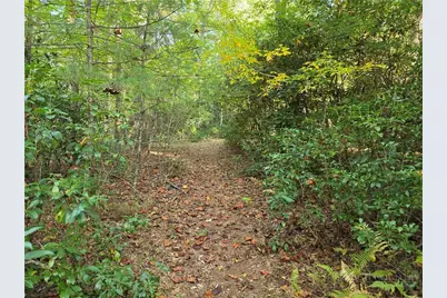 Tbd Off Windy Acres Ridge Road, Fleetwood, NC 28626 - Photo 8