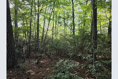 Tbd Off Windy Acres Ridge Road, Fleetwood, NC 28626 - Photo 2