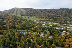202 Birchwood Ln, Beech Mountain, NC 28604 - Photo 28