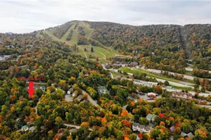 202 Birchwood Ln, Beech Mountain, NC 28604 - Photo 2
