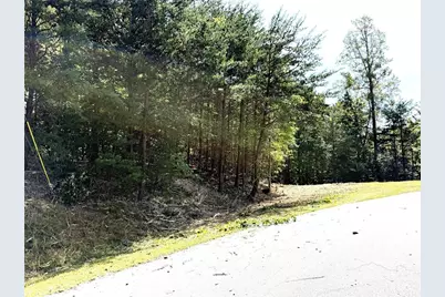 Tbd Ridge Run Road, Boomer, NC 28606 - Photo 14