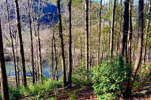 4 6 Acres Lot 126/127A Sunset Creek Ln, Lenoir, NC 28645 - Photo 1