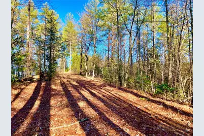 4.6 Acres, Lot 126/127A Sunset Creek Lane, Lenoir, NC 28645 - Photo 12