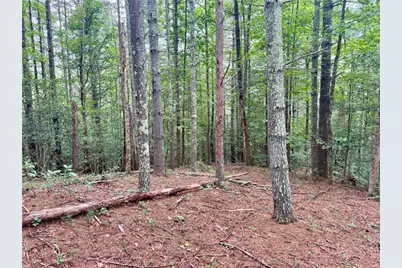 4.6 Acres, Lot 126/127A Sunset Creek Lane, Lenoir, NC 28645 - Photo 4