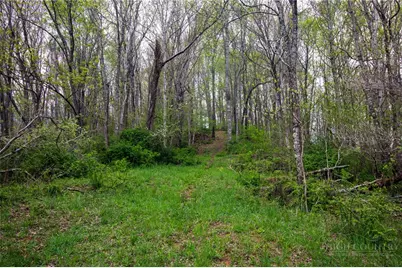 7764 Wilson Highway, Independence, VA 24348 - Photo 36