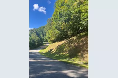 172 Hump View Trail, Banner Elk, NC 28604 - Photo 4
