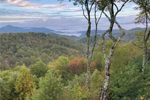 276 Indian Paintbrush Dr, Banner Elk, NC 28604 - Photo 18