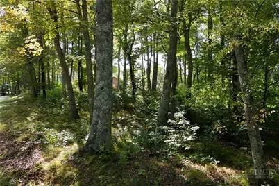 Lot 42 Rock Spring Circle, Sugar Mountain, NC 28604 - Photo 6