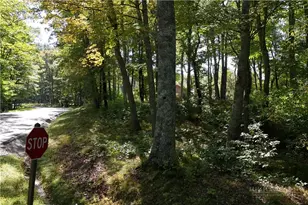 Lot 42 Rock Spring Circle, Sugar Mountain, NC 28604 - Photo 1