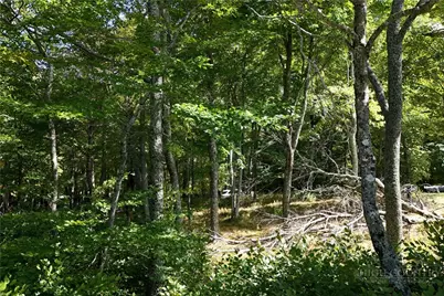 Lot 42 Rock Spring Circle, Sugar Mountain, NC 28604 - Photo 2