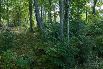 Lot 42 Rock Spring Circle, Sugar Mountain, NC 28604 - Photo 4