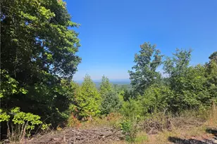 1650 Russell Gap Rd, Moravian Falls, NC 28654 - Photo 1