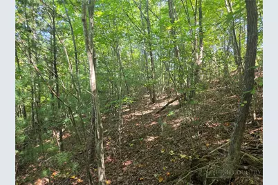 1650 Russell Gap Road #102, Moravian Falls, NC 28654 - Photo 24