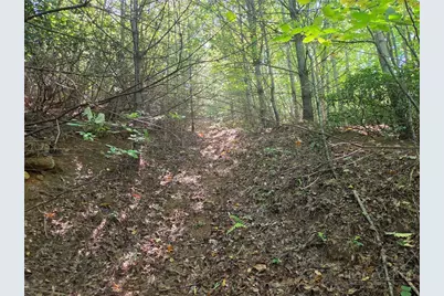 1650 Russell Gap Road #102, Moravian Falls, NC 28654 - Photo 32
