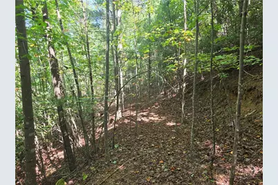 1650 Russell Gap Road #102, Moravian Falls, NC 28654 - Photo 26